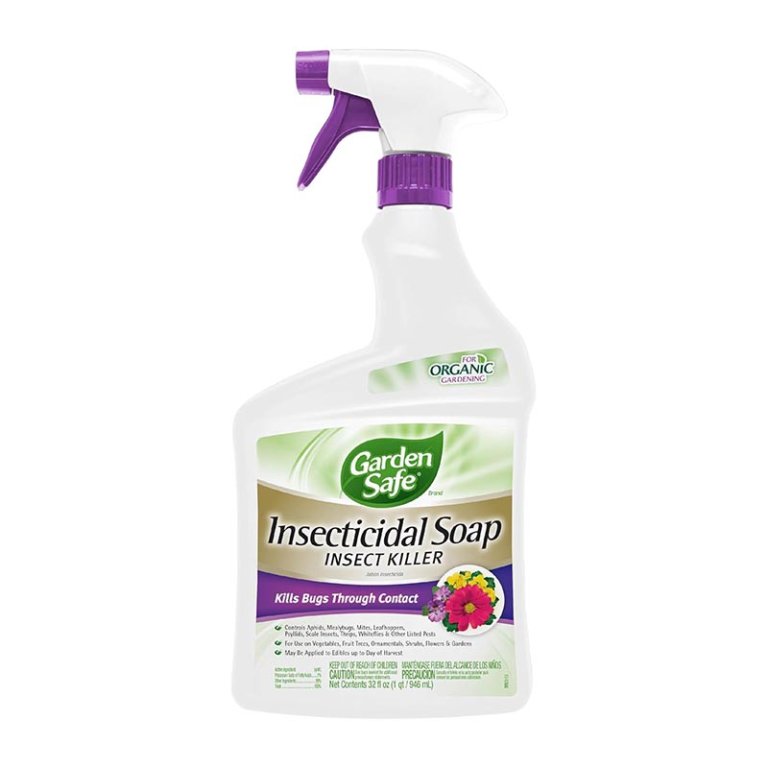  The Best Insecticides for Aphids Garden Safe Insecticidal Soap Insect Killer