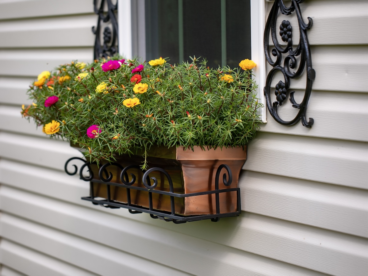 Flowers in a window planter.