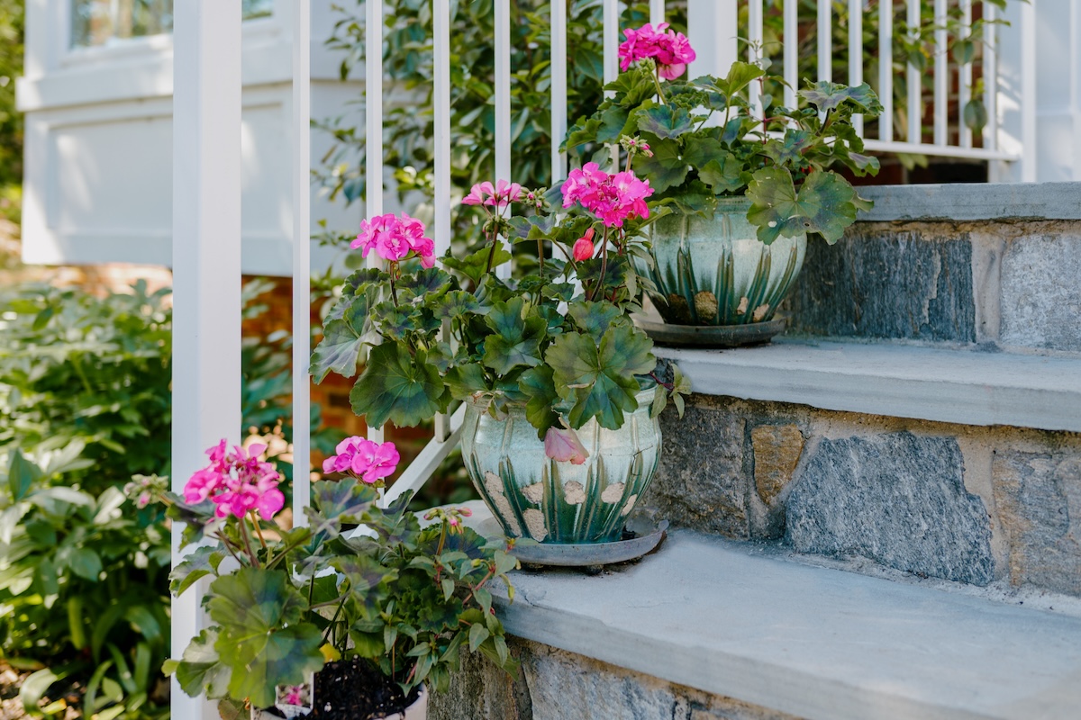 Pink flowers in patterned ceramic planters sit on the front step.