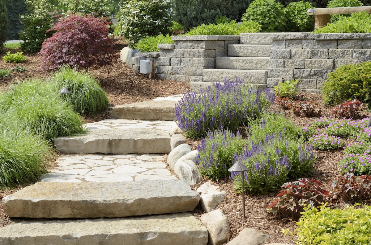 A front yard with colorful plants in mulched landscaping.