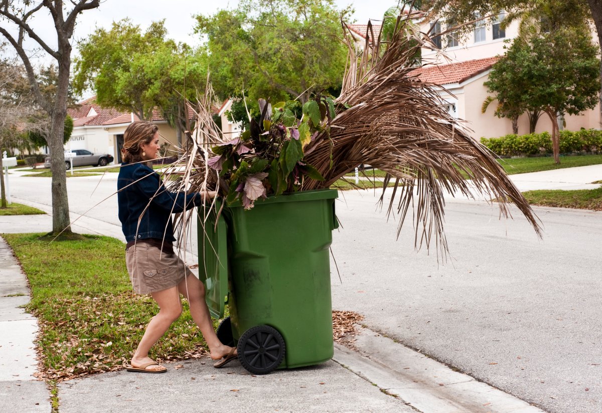 Woman pushing garbage can filled with yard debris to curb.