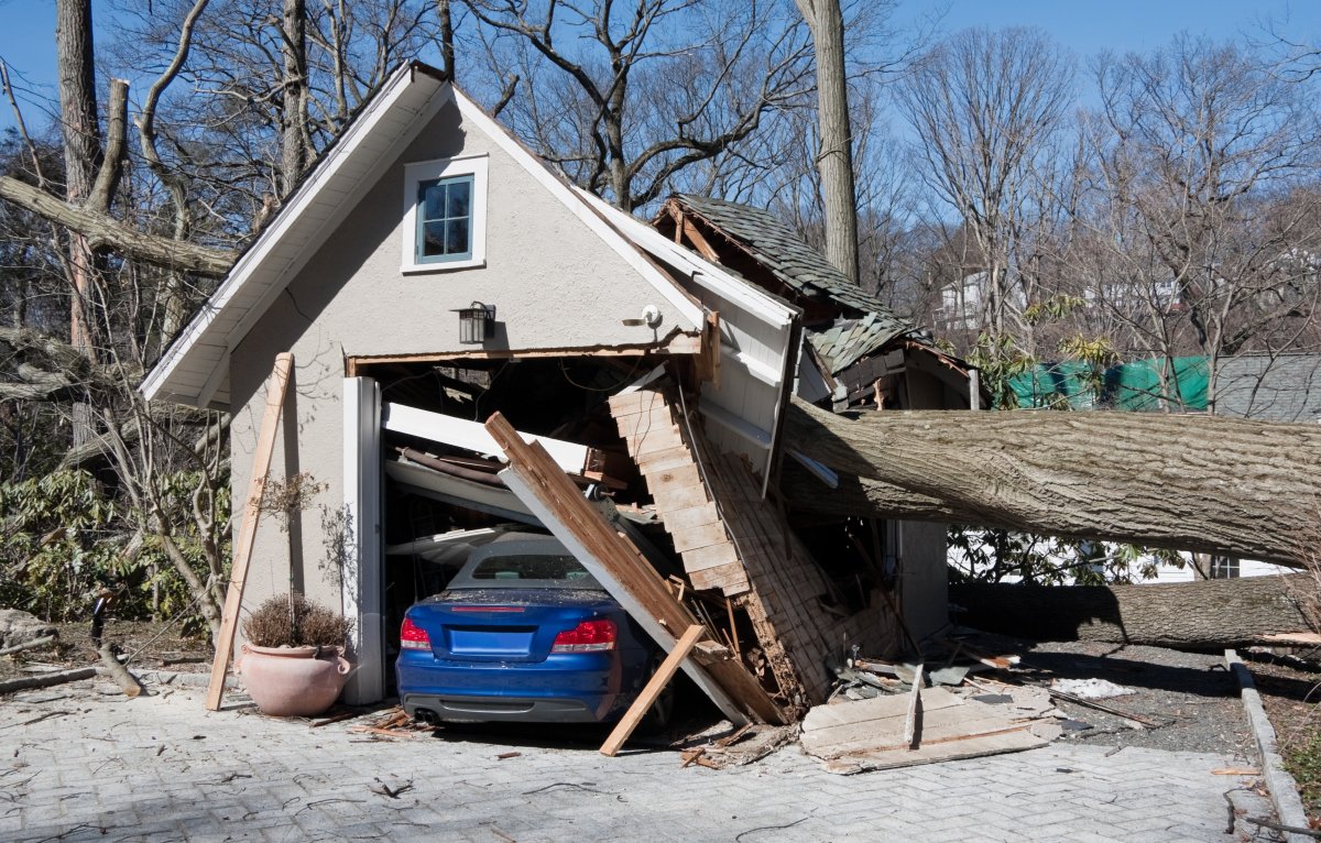 Fallen tree on a free-standing garage.