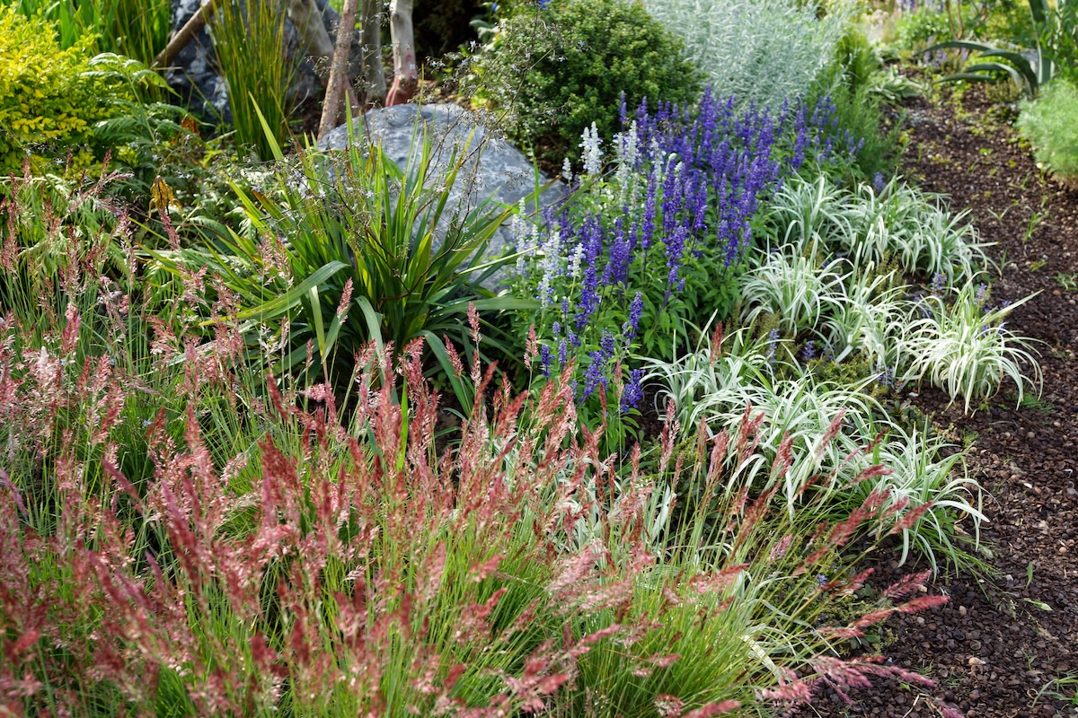 Xeriscape landscaping principles on display in a home landscape with ornamental grasses.
