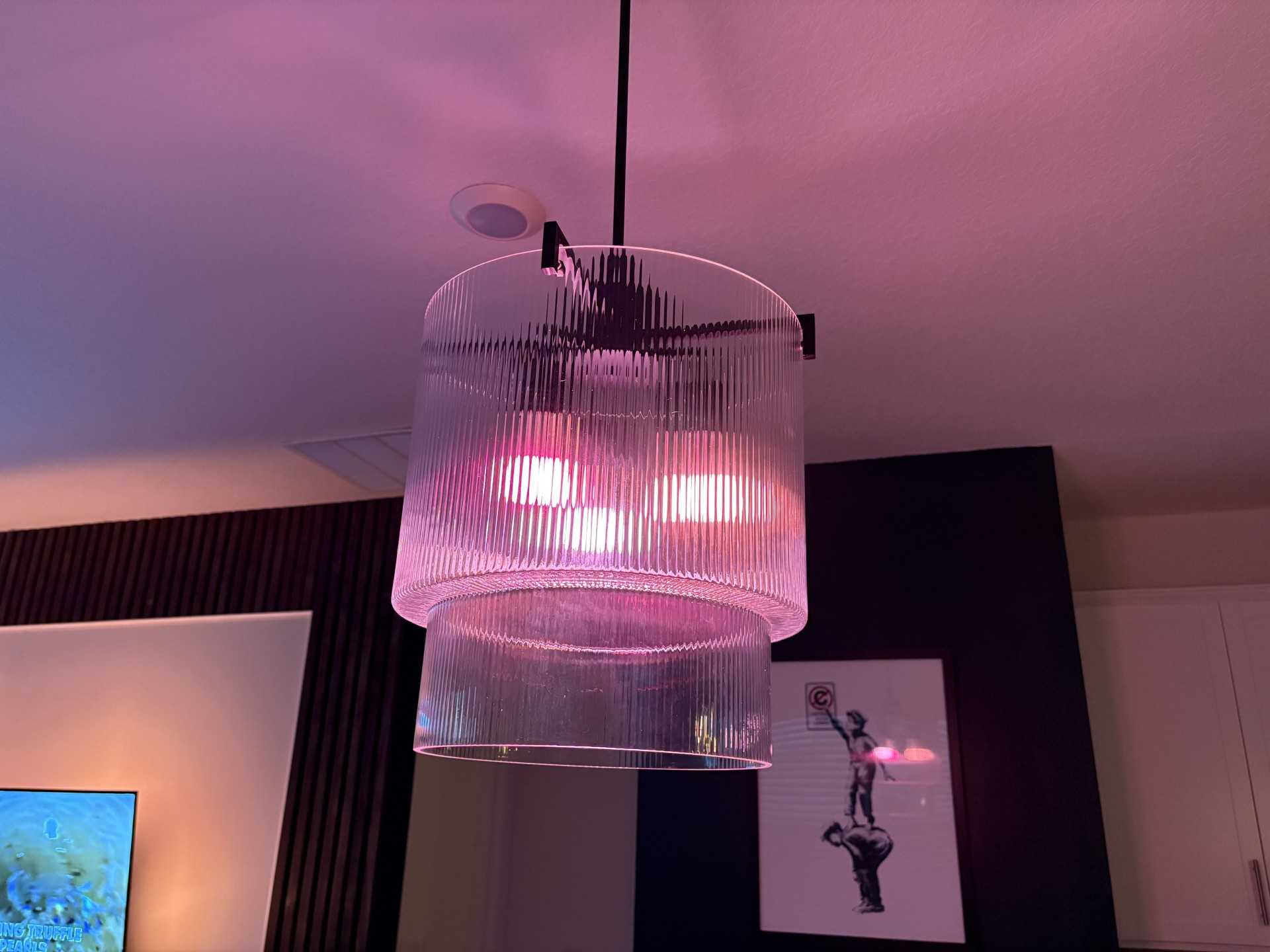 HunterFan large pendant