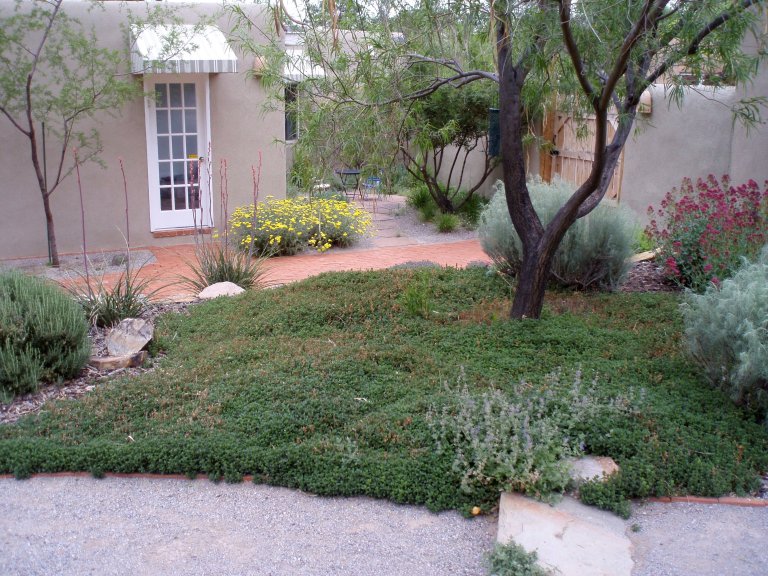 Xeriscape landscaping ideas shown in a home landscape.