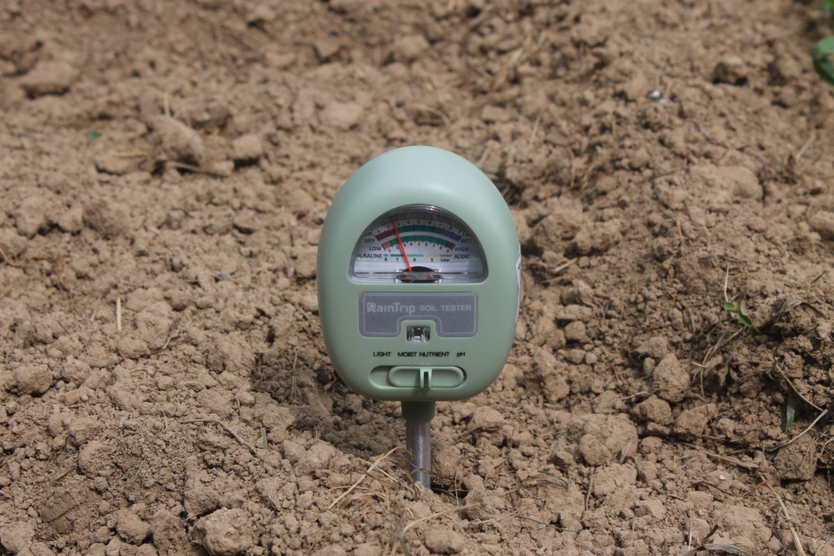 Raintrip pH Meter