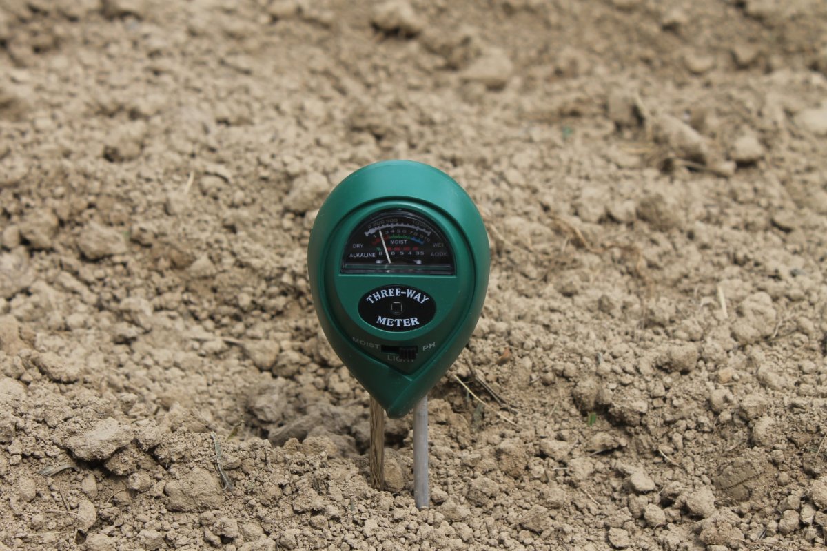 Suplong pH Meter