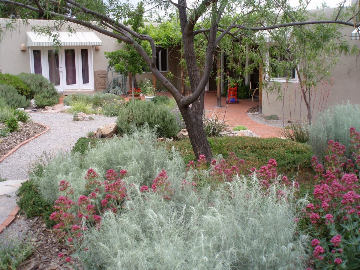 Xeriscape ideas displayed in a home landscape.