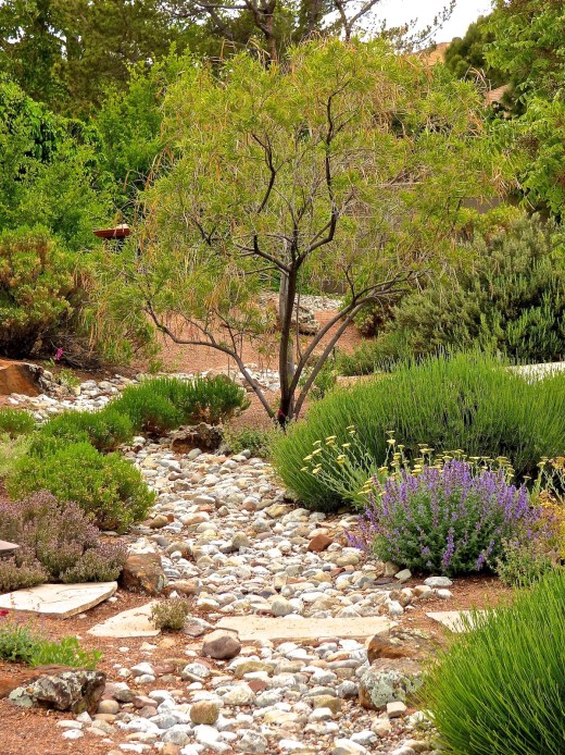 15 Xeriscape Ideas for a Beautiful, Sustainable Yard