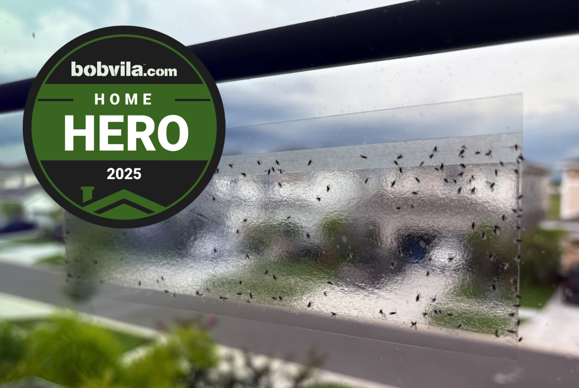 Catchmaster fly trap installed on window