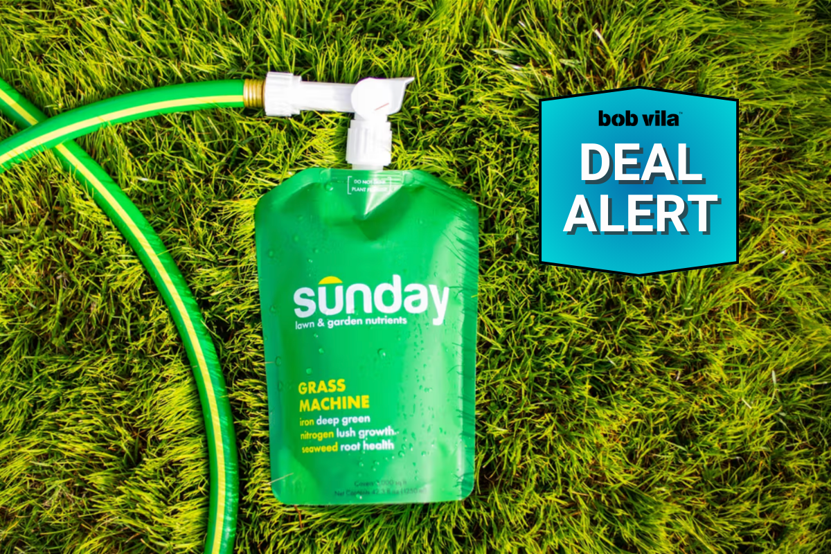 Sunday Lawn Care Plans Are on Sale for Labor Day