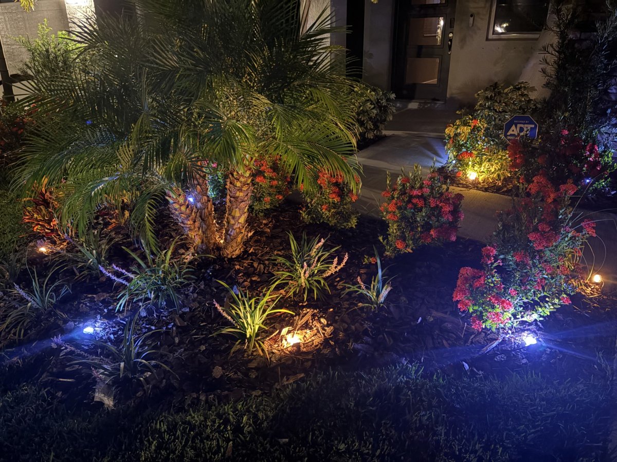 Enbrighten landscape lights night