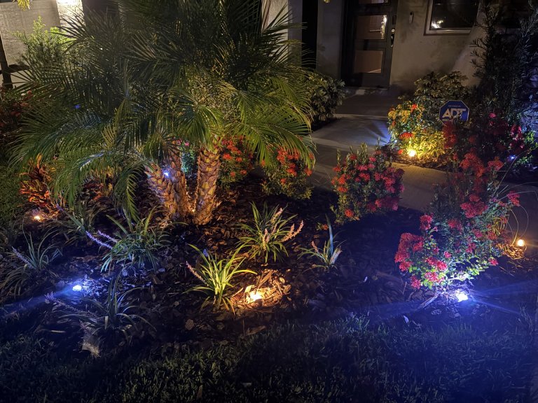 Enbrighten landscape lights night