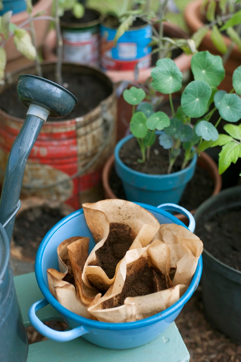 Used coffee grounds in filters ready to be added to a container vegetable garden.