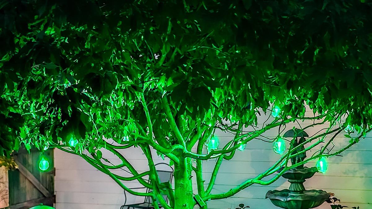 Using The String Levels Govee Smart Lights Review - Tested by Bob Vila