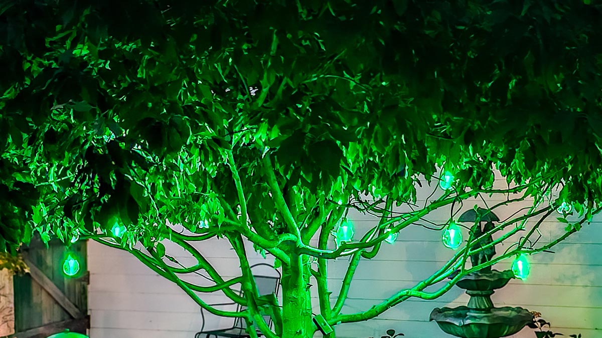 Govee Smart String Lights in Green