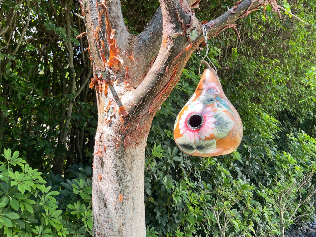 A gourd birdhouse hand painted with flowers hanging from a tree