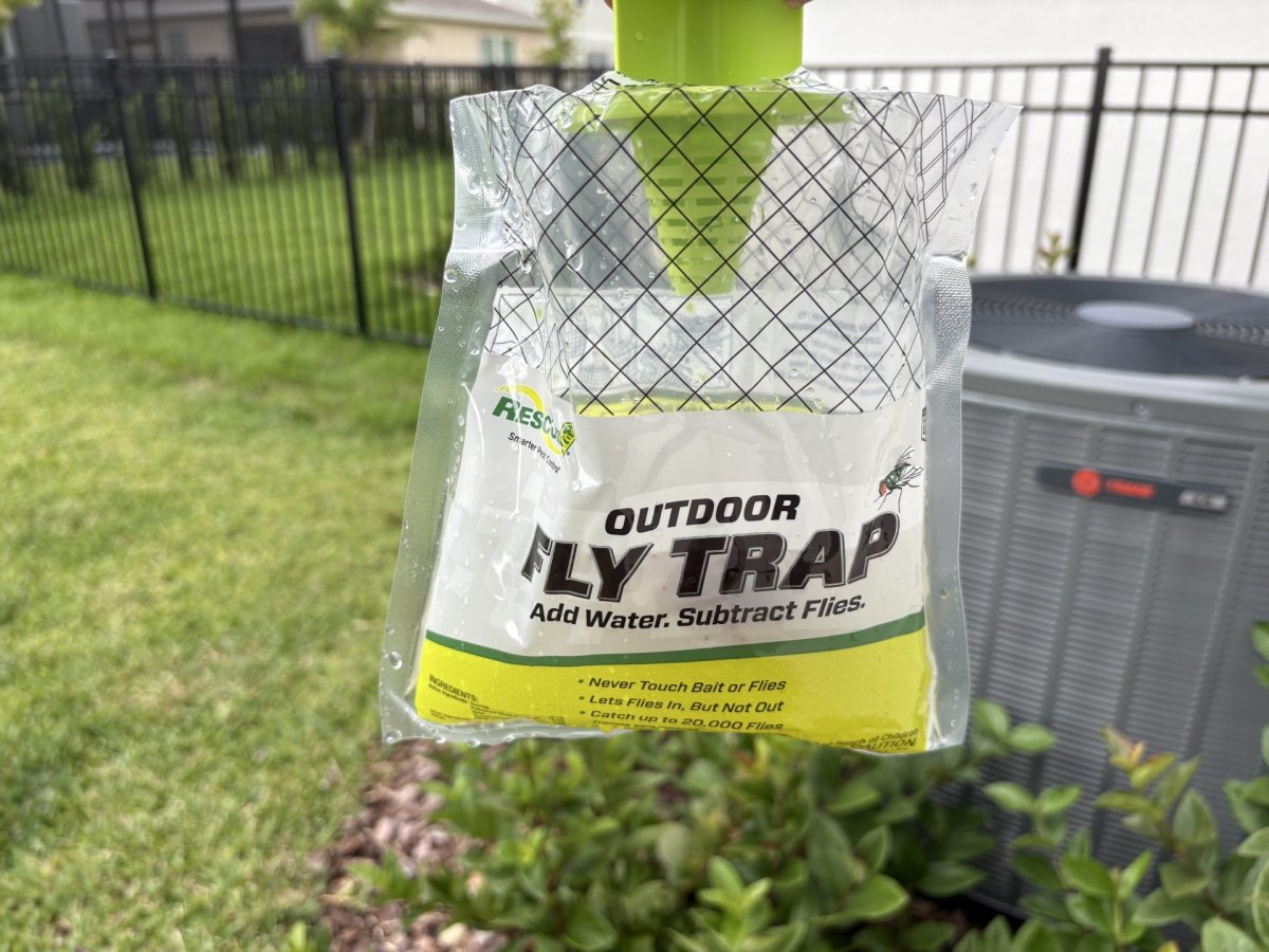 Rescue fly trap outside
