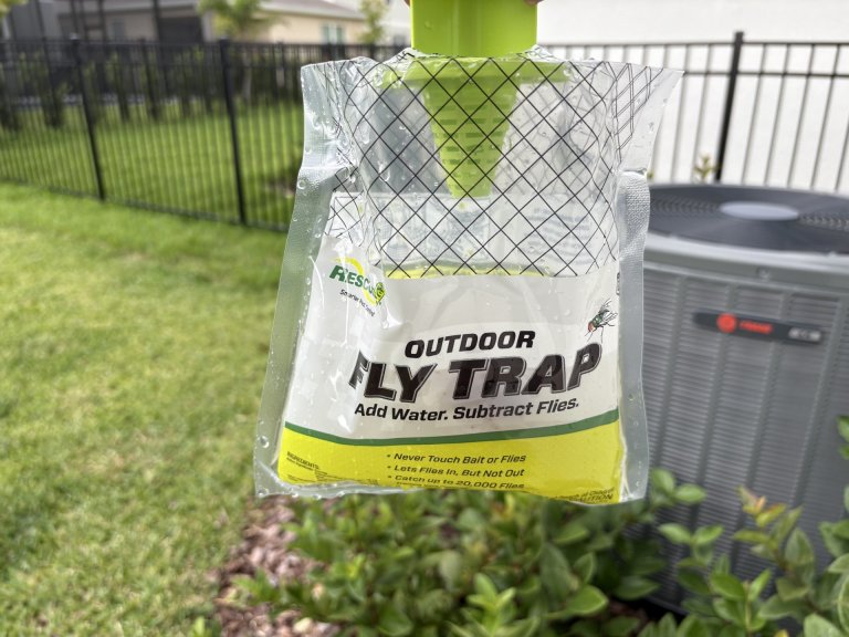 Rescue fly trap outside