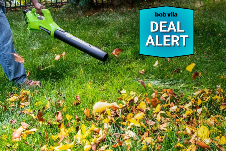 best leaf blower deal greenworks leaf blower discounted during walmart's labor day sale for under $50