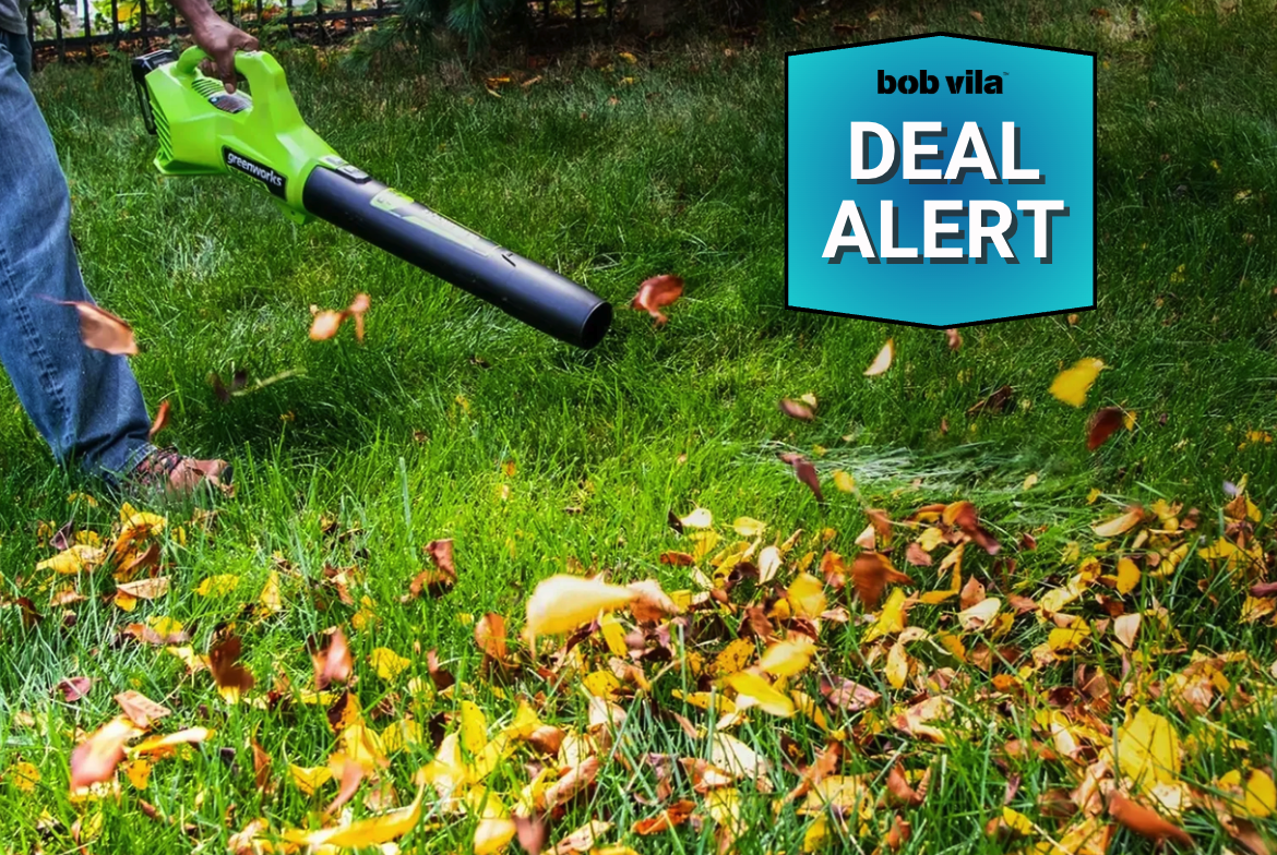 Greenworks 40V Cordless Leaf Blower Is 50% Off and Whisper-Quiet