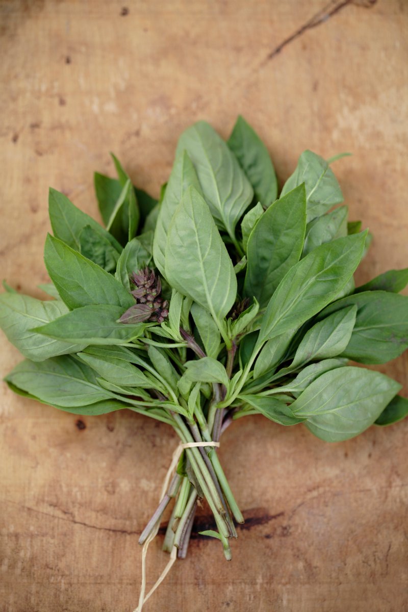 Bouquet of Thai basil