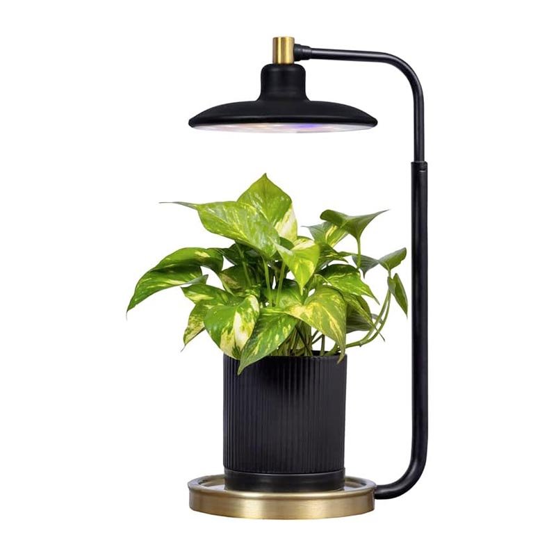 The Best Grow Lights of 2025, Tested and Plant-Approved