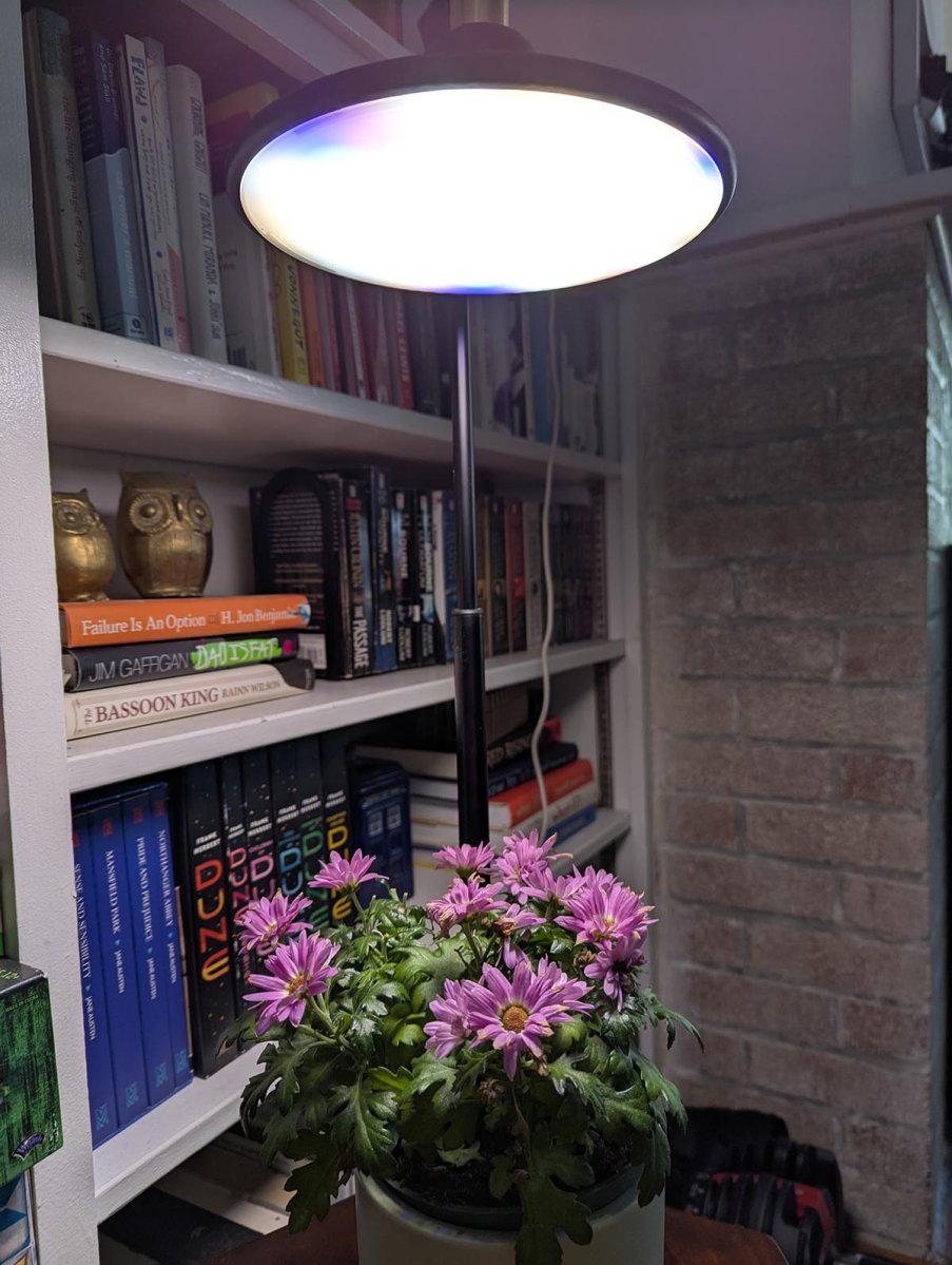 Aerogarden_Light_Bulb_Close-Up