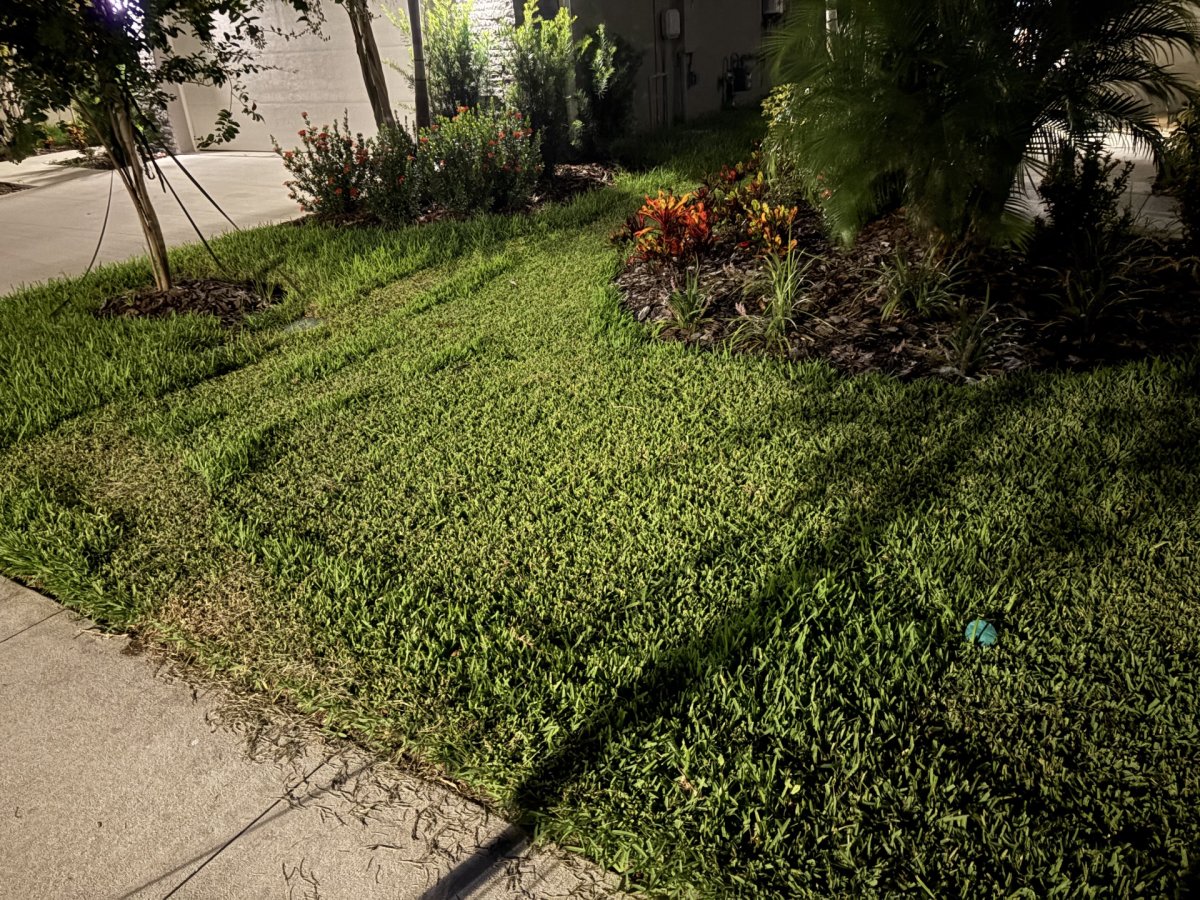 EcoVacs GOAT messy lawn