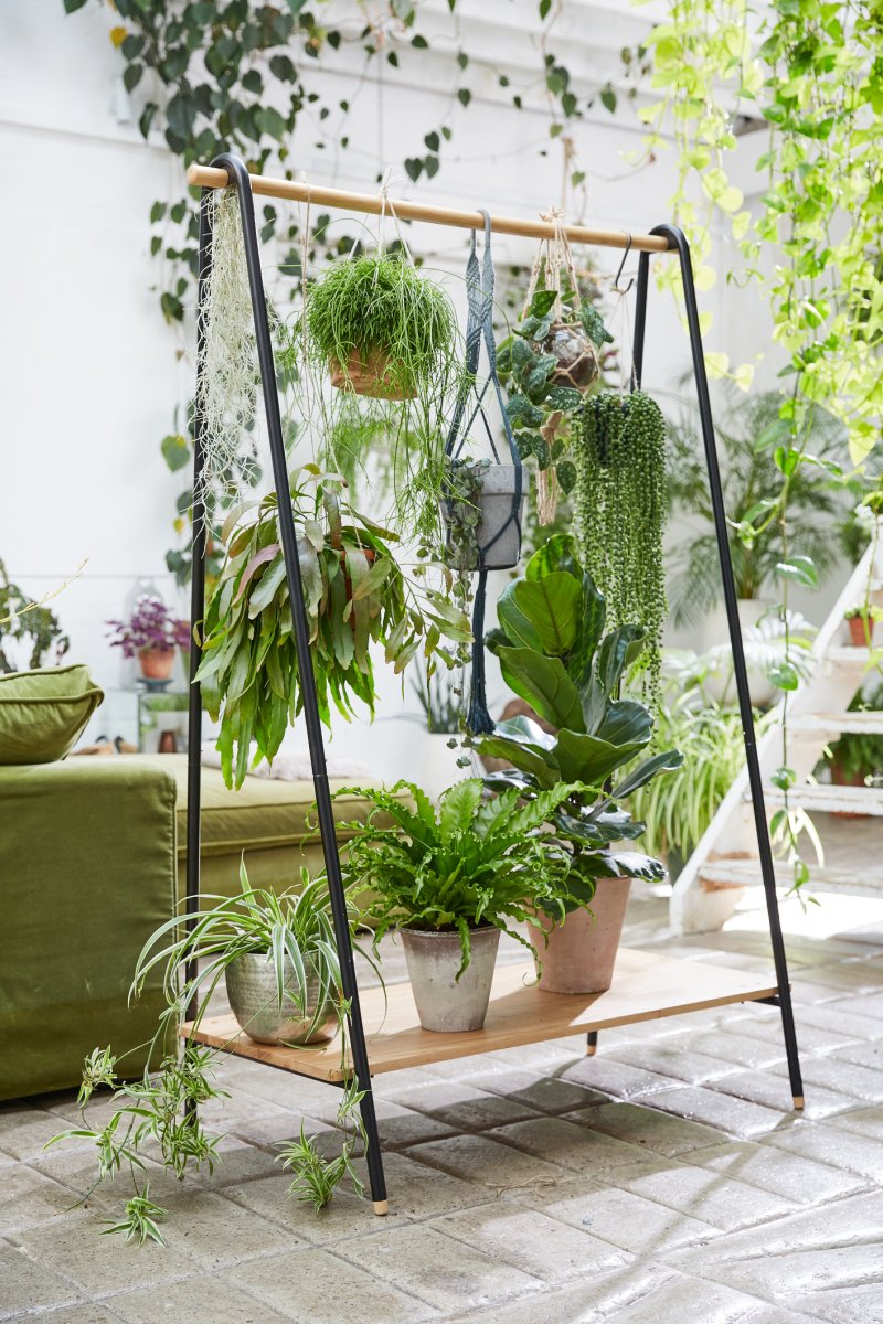 Plants on vertical multi-tiered plant stand.