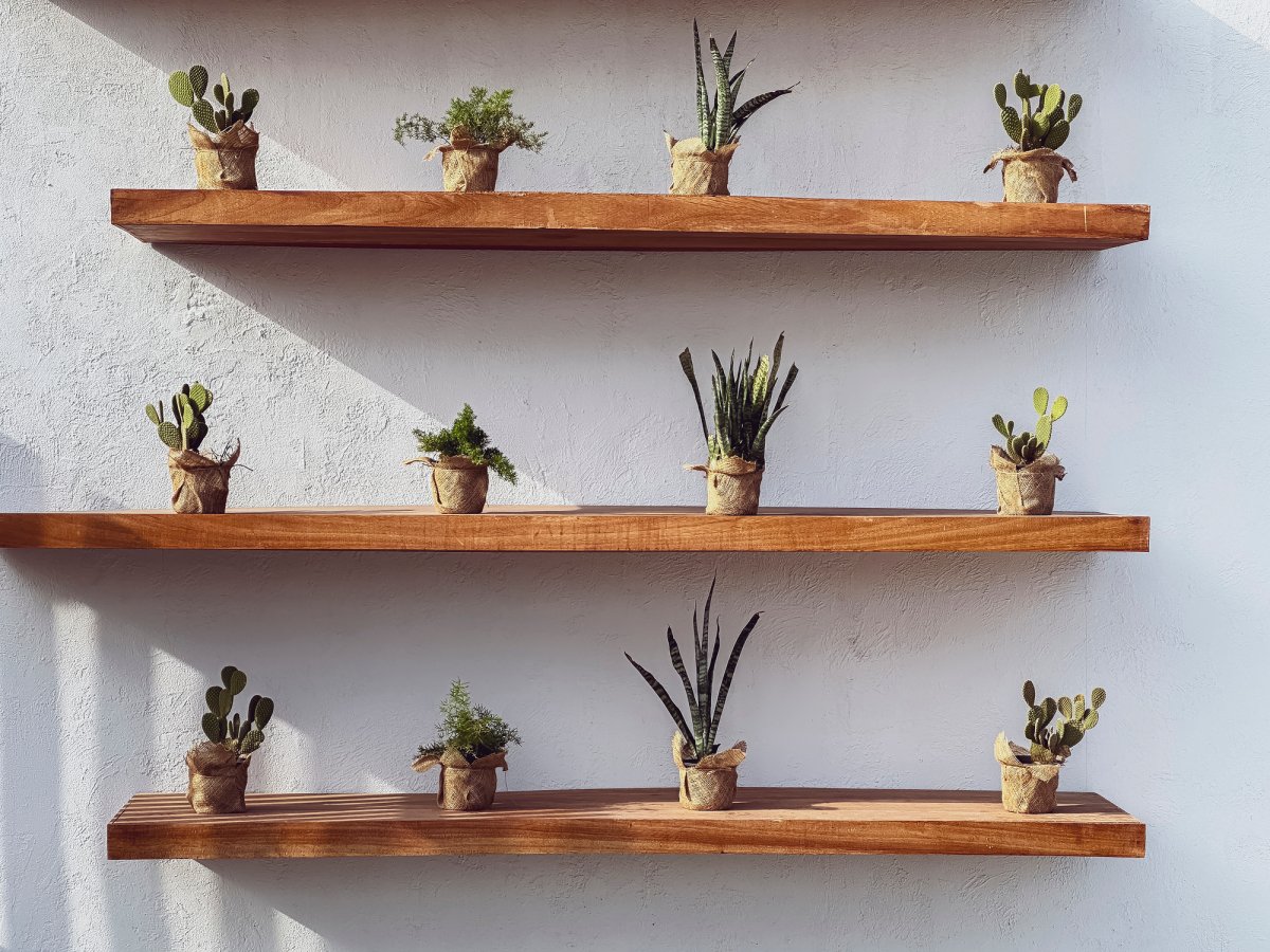 Floating shelves with a collection of small cacti against a white wall.
