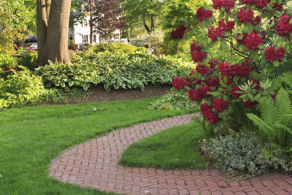 A DIY brick garden path in a suburban yard.