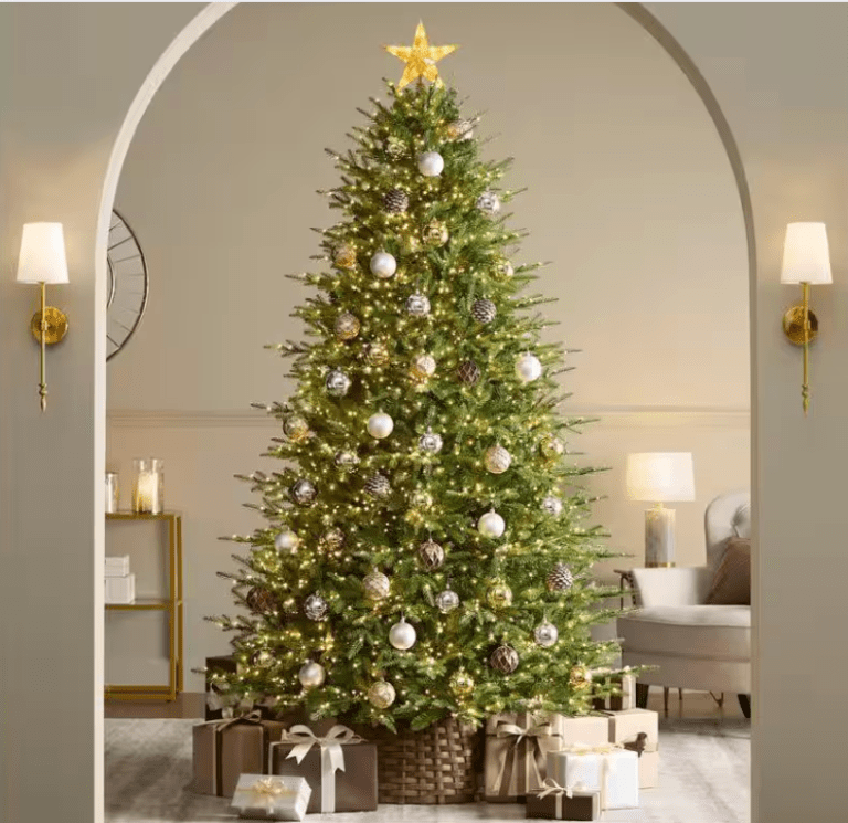 Home Depot viral Grand Duchess Balsam Fir is Back in Stock