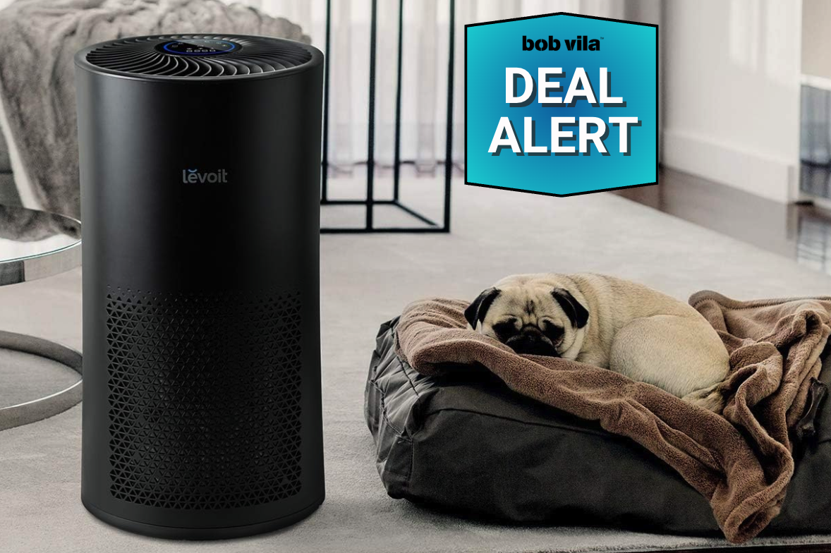 air purifiers at their lowest prices ever during early prime day deals, the best early prime day air purifier deals