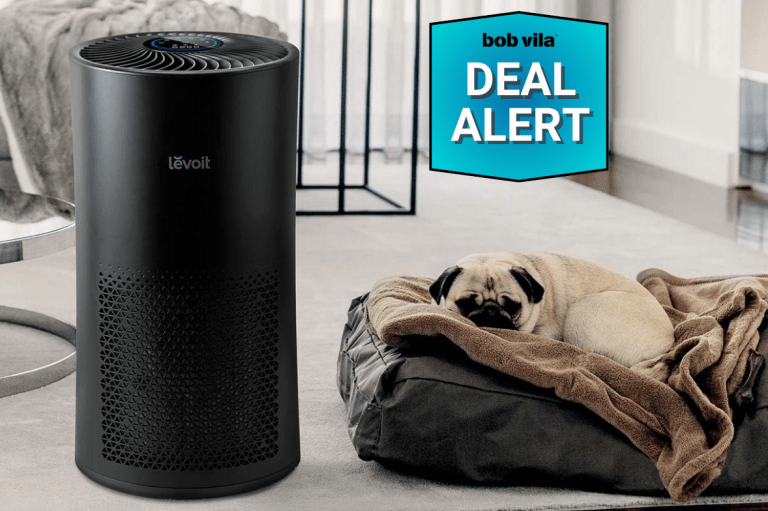 air purifiers at their lowest prices ever during early prime day deals, the best early prime day air purifier deals