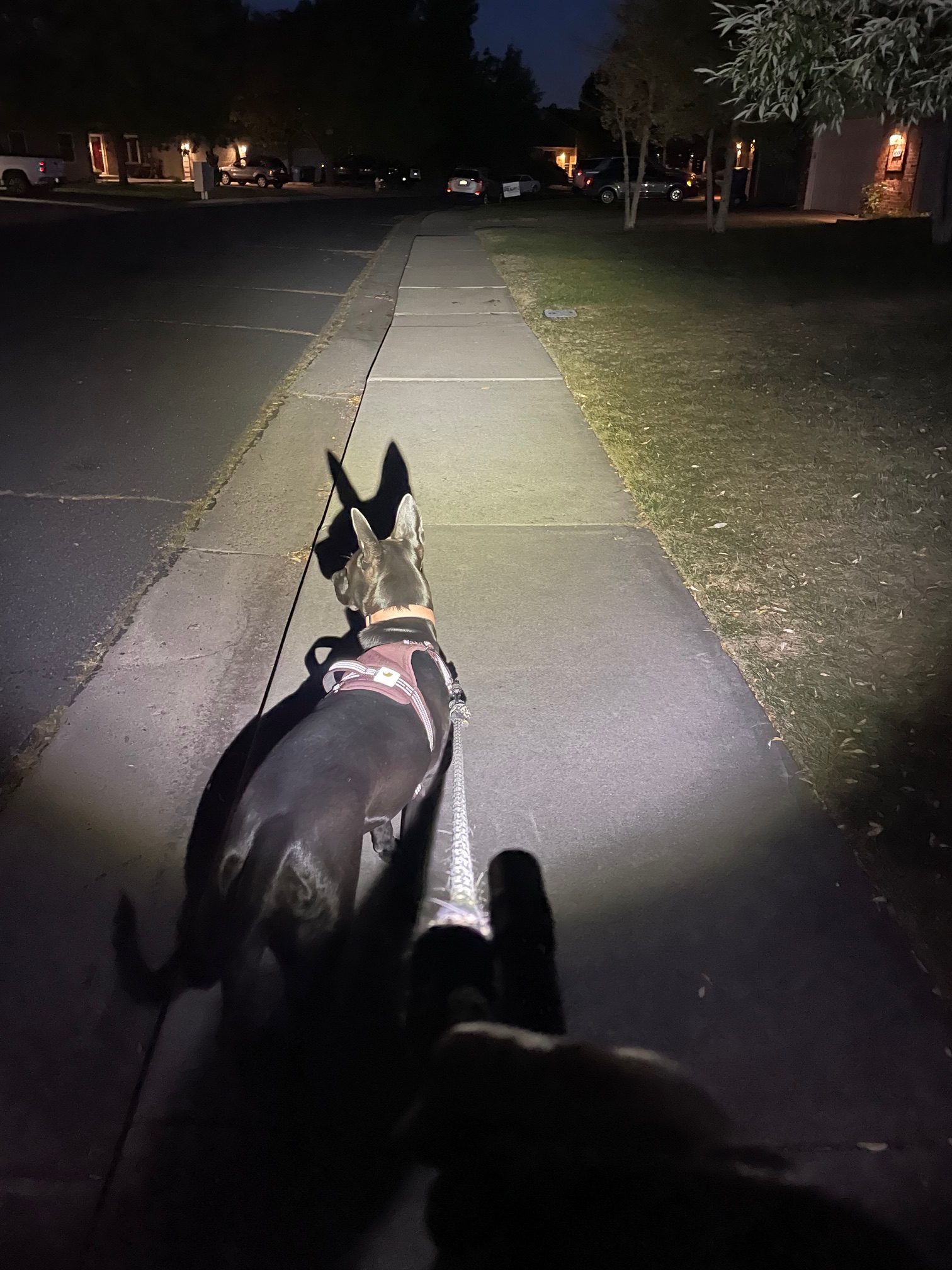 ThruNite Archer 2A V3 flashlight at night