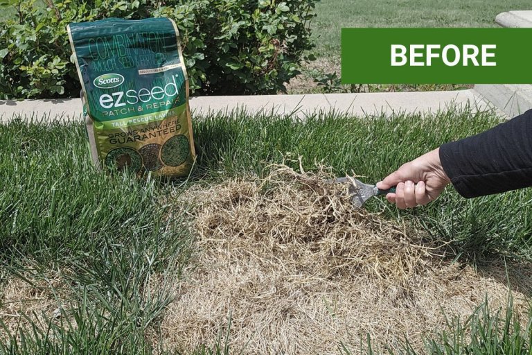 Ace Hardware YardRx program results after a full season of growing