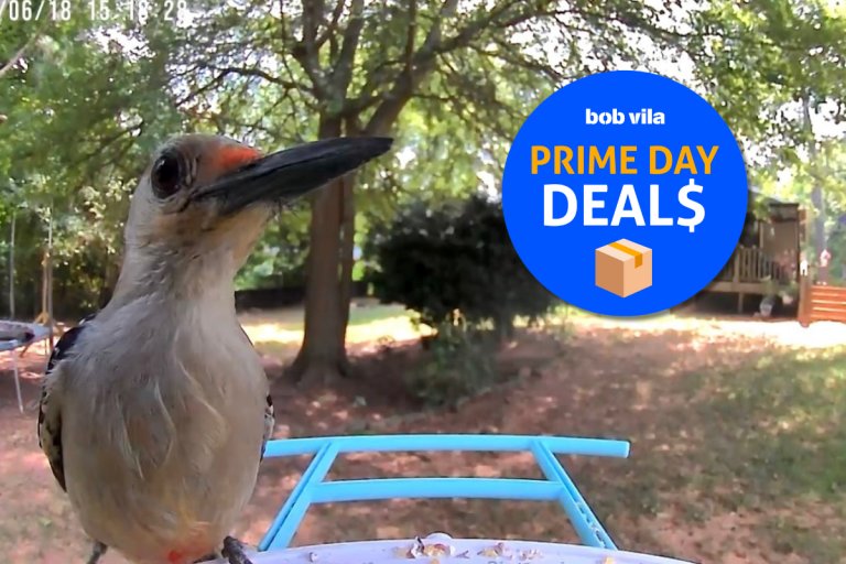 Birdfy Smart Bird Feeder Deal