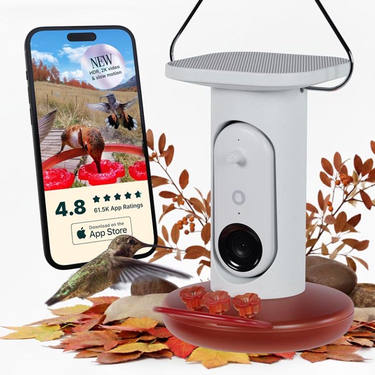 Bob Vila's Top Gifts Bird Buddy Smart Hummingbird Feeder