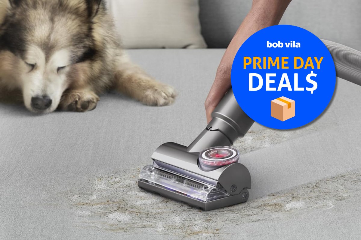 Dyson Ball Animal Vacuum on sale for Prime Day 2025