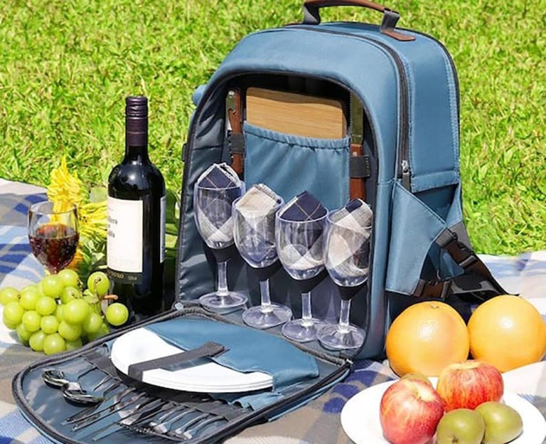 Home Depot Gift Guide Deluxe 4-Person Picnic Backpack