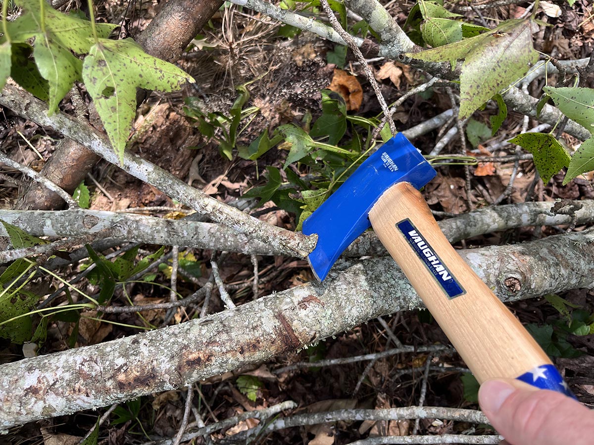 Best Axe