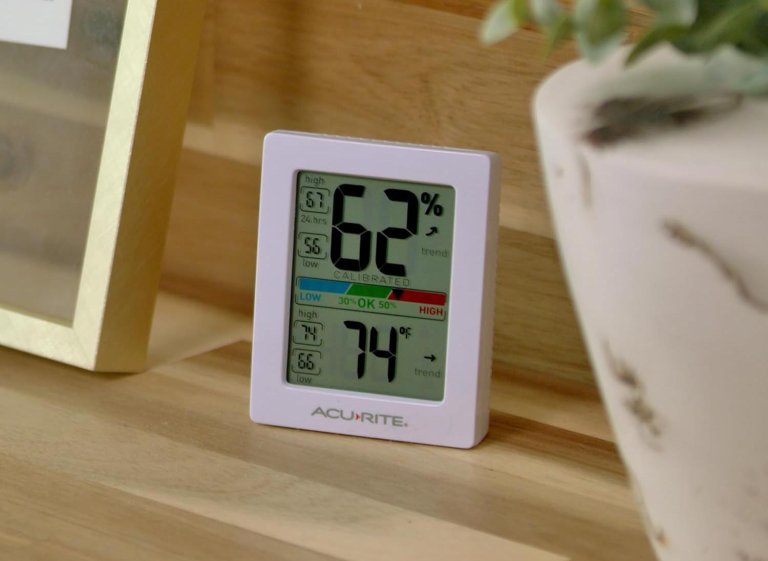 Products to Help You Prep Your Houseplants for Winter Hygrometer