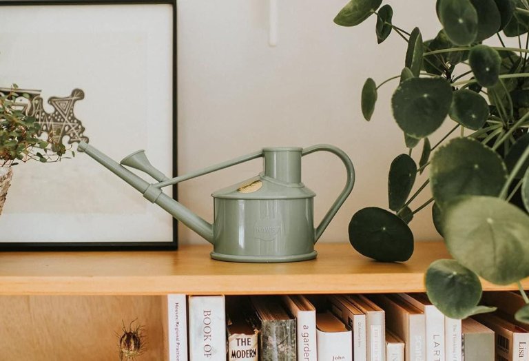 Products to Help You Prep Your Houseplants for Winter Small Watering Can