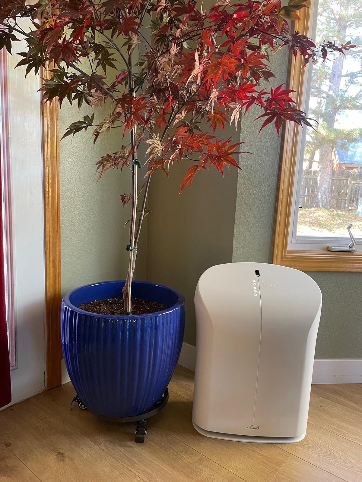 Rabbit Air BioGS 2.0 Air Purifier with tree