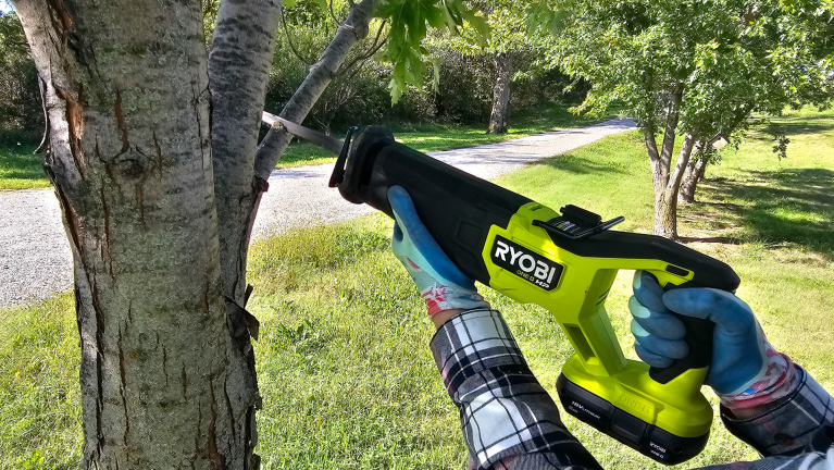 Ryobi reciprocating saw used to prune