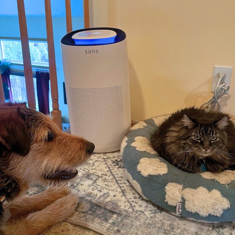 Sans Whole Home Air Purifier running next to pet beds, filled with pet fur dander