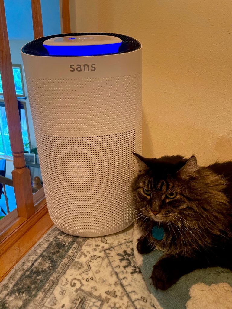 Sans air purifier review - hands on tested