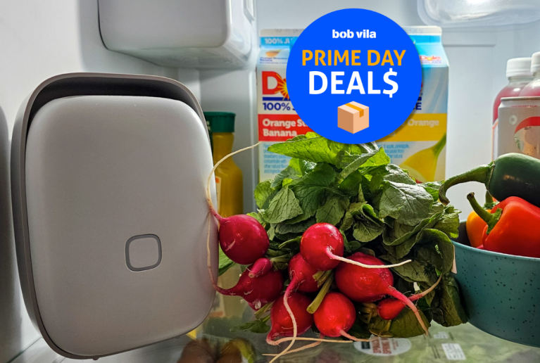shelfy discount for Amazon Prime Day