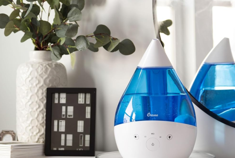 Products to Help You Prep Your Houseplants for Winter Mini Humidifier